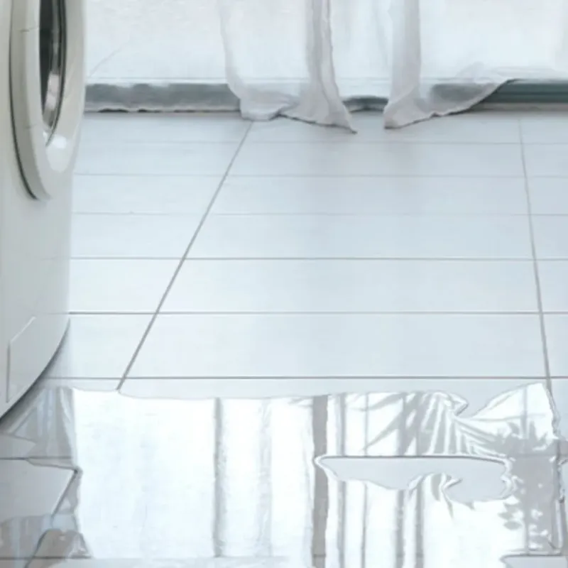 Appliance Leak Cleanup in Pardeeville, WI