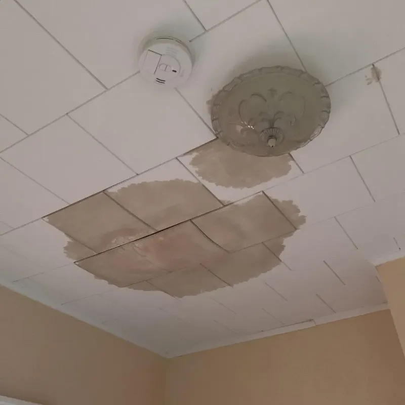 Ceiling Water Damage Repair in Pardeeville, WI