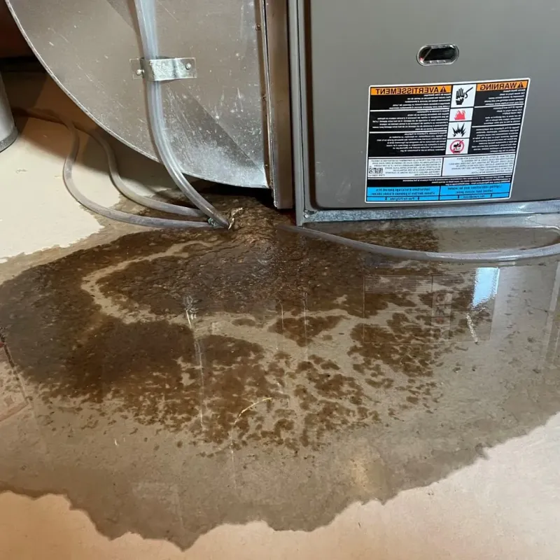 Pipe Burst and Leak Restoration in Pardeeville, WI